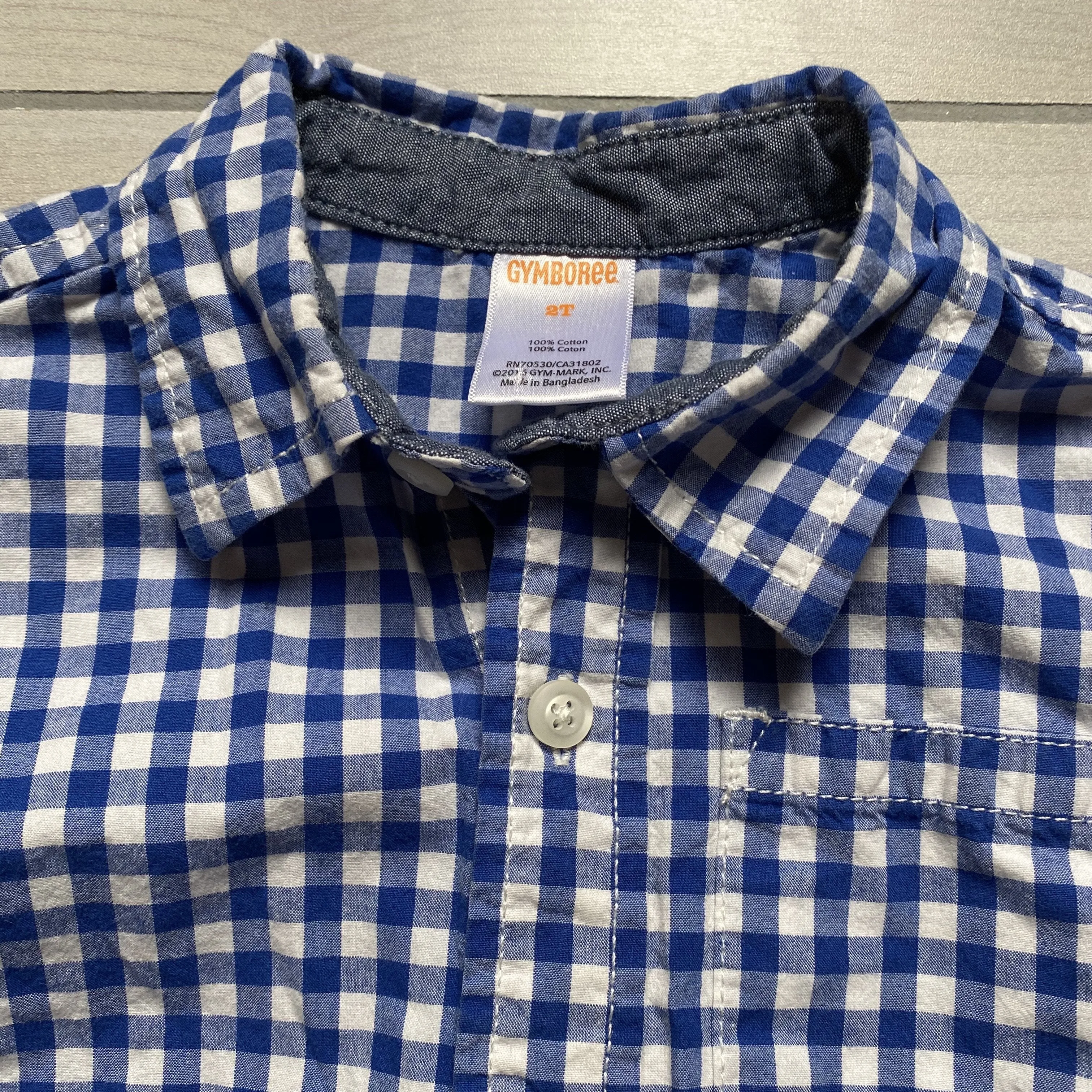 Gymboree Blue GIngham Button Down Shirt